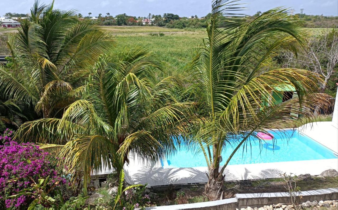 T2 Jardin Clos Les Nids De La Colline Saint-Francois  Ngoại thất bức ảnh