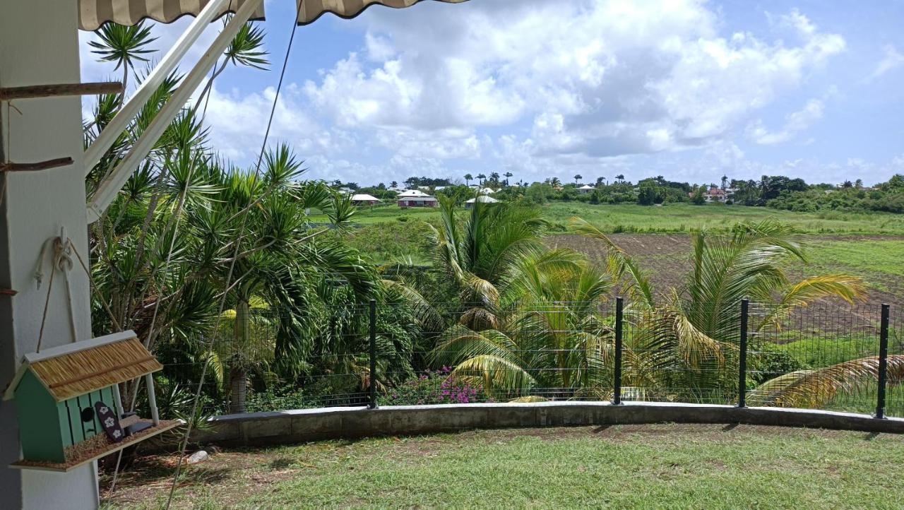 T2 Jardin Clos Les Nids De La Colline Saint-Francois  Ngoại thất bức ảnh